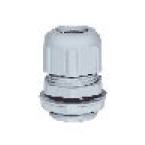  PRESSE ETOUPE RAL 7001 PG 21 